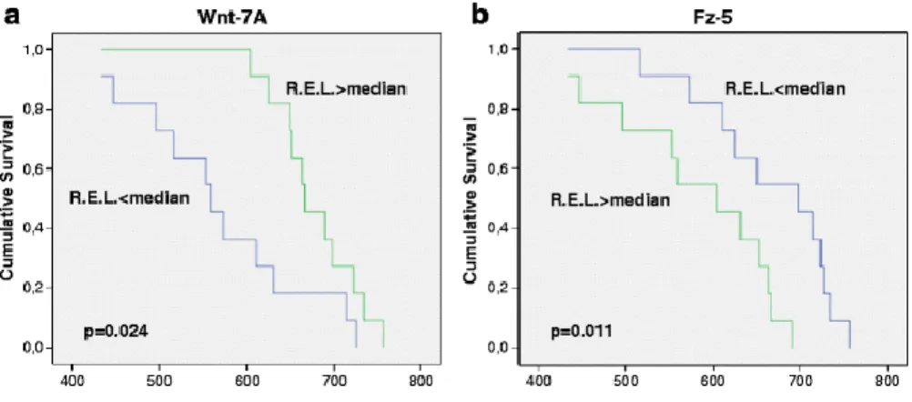 Fig. 2. Kaplan–Meier graphs for time of survival according to R.E.L. of Wnt-7A (a) and Fz-5 (b) mRNA  in central tumor tissue of HNSCC; p values are given for log rank tests 