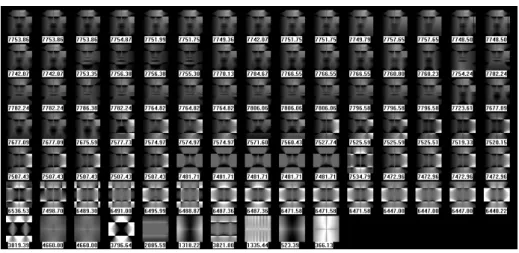 Fig. 7: Fittest individual per generation. From the last to the first generation in reading order.