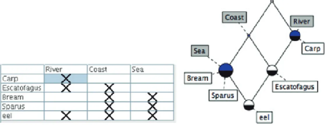 Fig. 1.    Contexto formal sobre peces (izquierda) y su retículo de conceptos asociado (derecha).