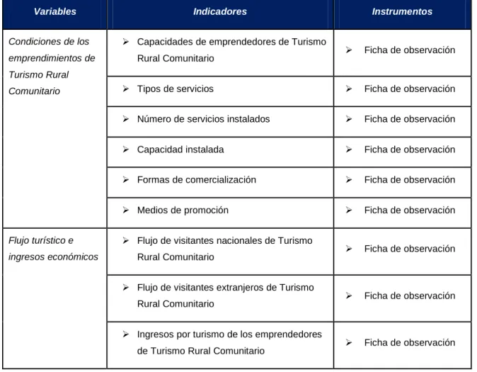 Cuadro 1: Variables, Indicadores e Instrumentos 
