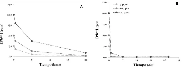 Figura 4. Eliminación de Pb 2+  en muestras de agua contaminadas artificialmente con diferentes concentraciones del  metal, empleando un sistema en lotes operados con S