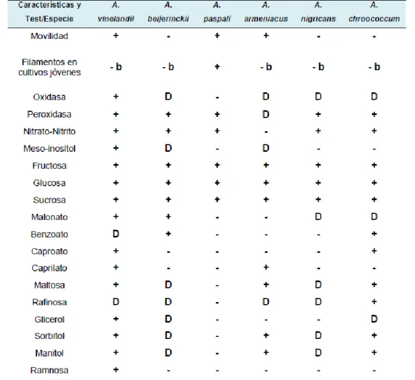 Tabla  3.  Movilidad,  formación  de  filamentos  y  pruebas  bioquímicas  utilizadas  para  la  caracterización del género Azotobacter spp (Avella, 2007)