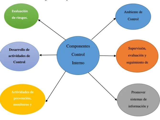 Figura 3: Componentes Control Interno 