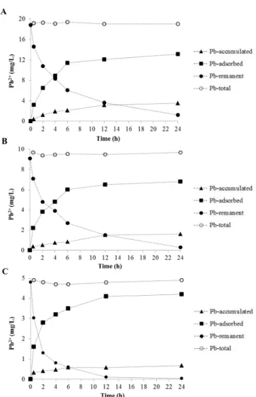 Fig. 4. Compartmentalization analysis in microcosms of batch-  operated systems with S