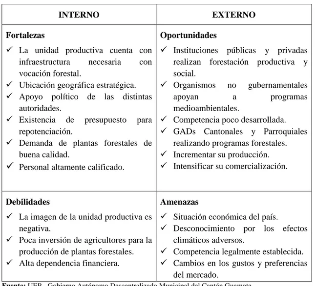 Cuadro  12: Análisis FODA 