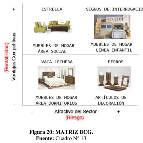 Figura 20: MATRIZ BCG. 