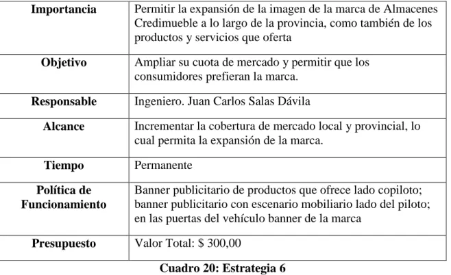 Cuadro 20: Estrategia 6 