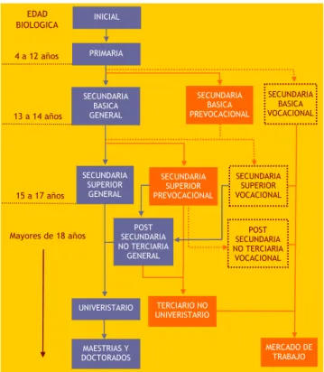 Gráfico 3:  