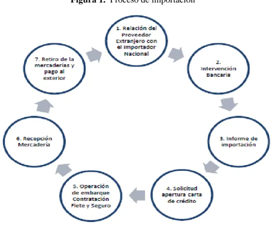 Figura 1.  Proceso de importación 
