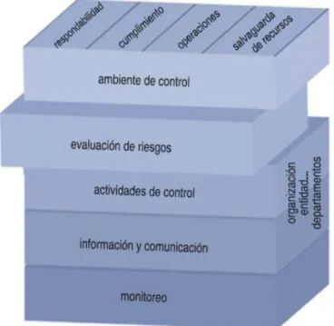 Figura 5 Evaluación del  riesgo 