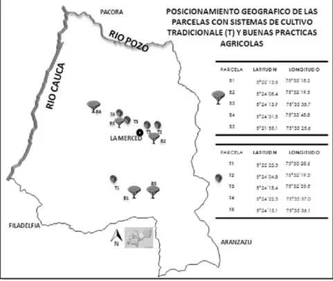 Figura 1. Mapa de posicionamiento geográfico de los cultivos tradicionales (T), y BPA (B) en el municipio La  Merced-Caldas