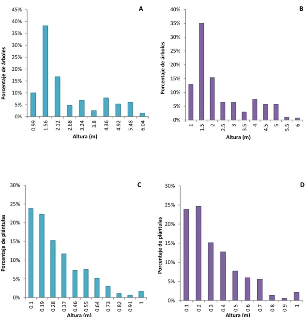 Figura 8. Distribución por altura de árboles y plántulas de Polylepis rugulosa en el bosque relicto de Huachuy, Toro