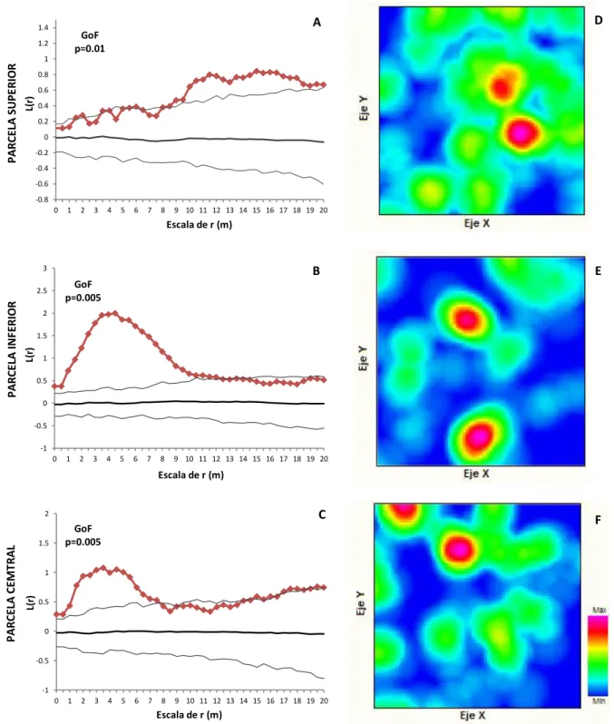 Figura 9. Test de homogeneidad y Función de intensidad del patrón de puntos correspondiente a árboles de Polylepis rugulosa  evaluados en tres parcelas establecidas en el bosque  relicto de Huachuy, Toro