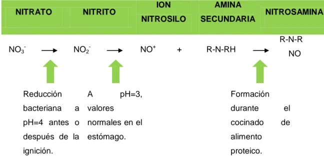 Figura 1. Transformación entre diferentes compuestos nitrogenados. (Fuente: 