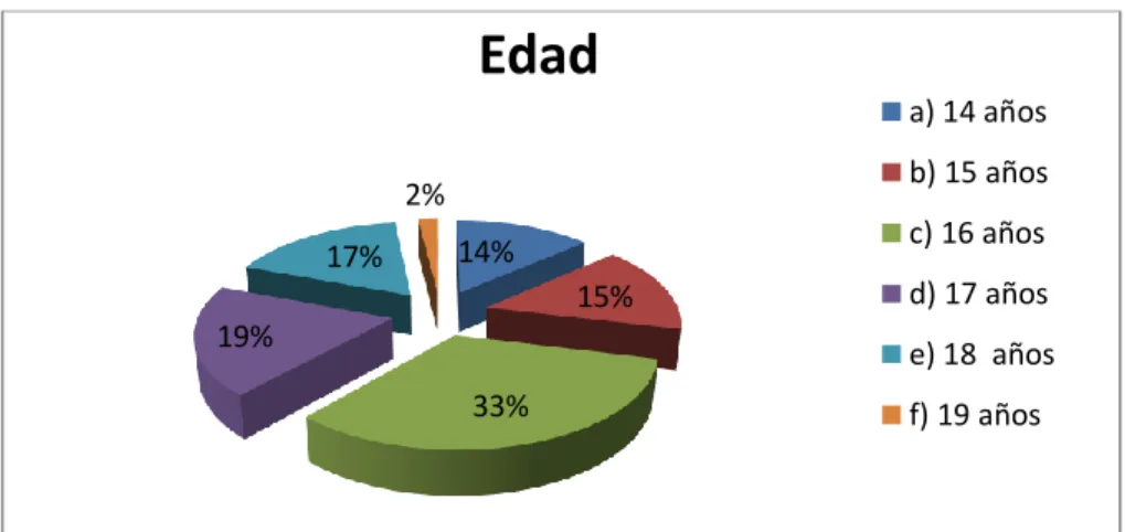 GRÁFICO Nº 1 