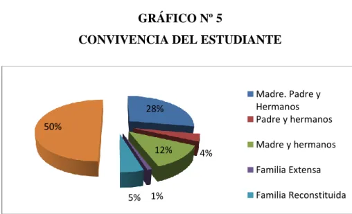 GRÁFICO Nº 5 