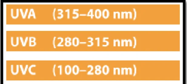 Figura 2-1. Intervalos de la región UV en intervalos de longitud de onda. 