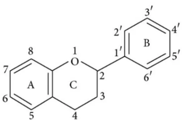 Tabla 1-1: Estructuras de flavonoides  