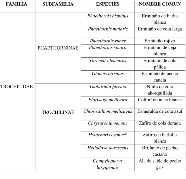 Tabla 2. Riqueza de especies de colibríes registradas en época húmeda. Noviembre 2016,  EBCC