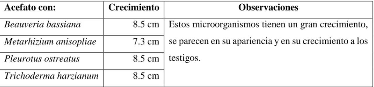 Tabla 17-3: Crecimiento de los hongos en presencia del pesticida acefato. (15 días) 