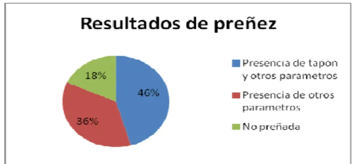Gráfico 1. 