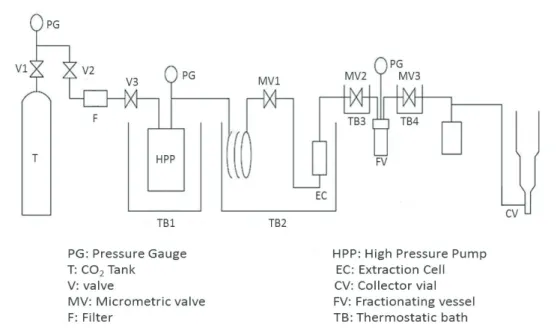 Figure 1. Experimental equipment for supercritical fluid extraction.
