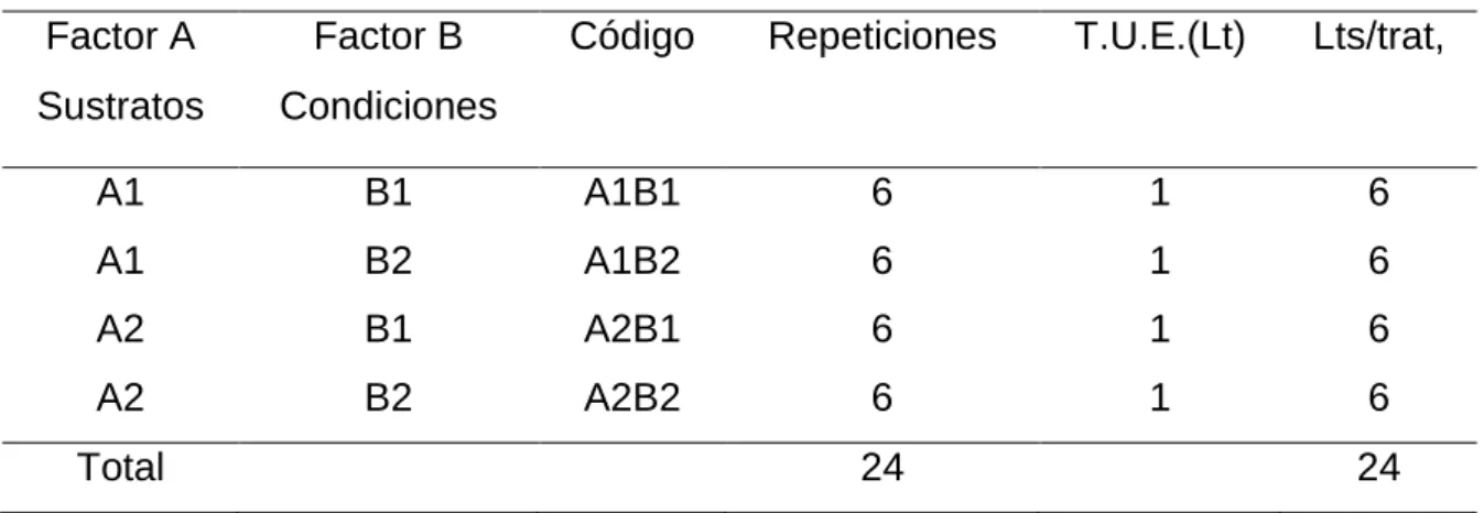 Cuadro 5.  ESQUEMA DEL EXPERIMENTO. 