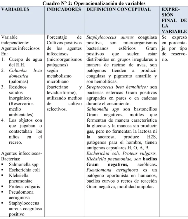 Cuadro N° 2: Operacionalización de variables 