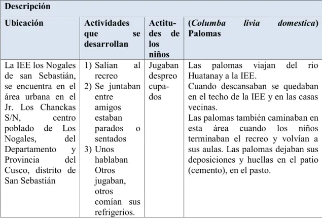 Cuadro N° 6: Guía de observación  Fecha: 31 de octubre del 2014.  