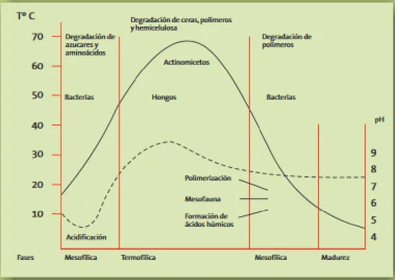 Figura N° 1.2 : Parámetros en las de fases del proceso de compostaje           Fuente: Alvarez, J