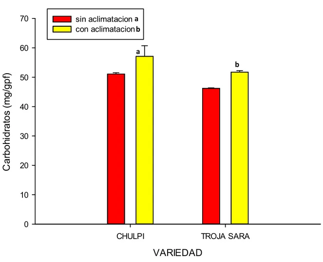 Figura 5.  Contenido de carbohidratos totales  solubles (mg/g.p.f.) de  callos de dos  variedades  de  Zea  mays  L