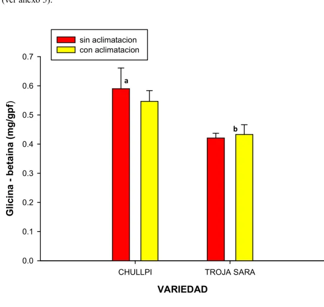 Figura 7. Contenido de glicina - betaína (mg/g.p.f.) de callos de dos variedades de                Zea mays L