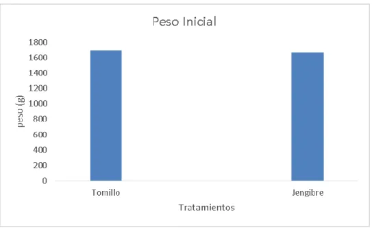 Gráfico 1.  Peso al inicio de la experimentación. 