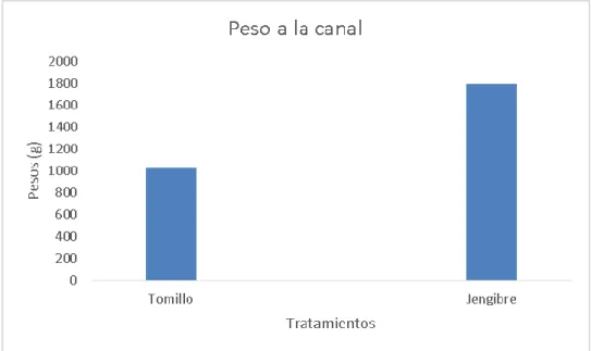 Gráfico 6.  Peso a la canal. 