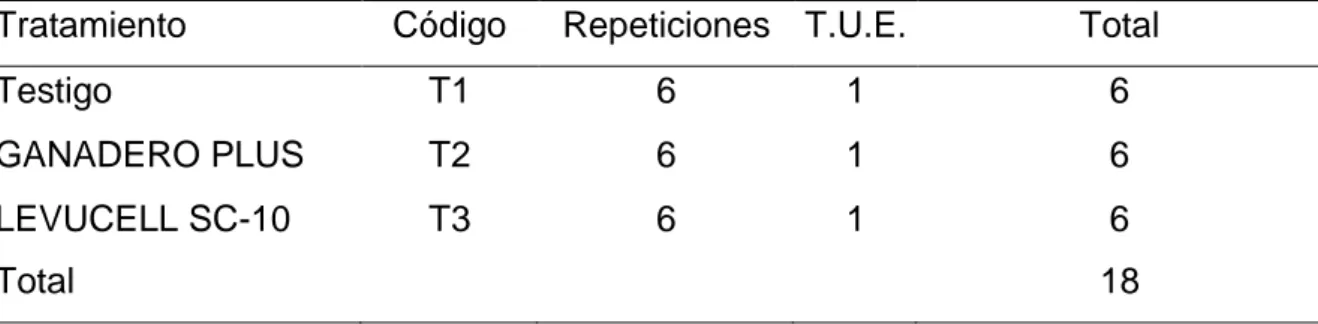 Cuadro 1.   ESQUEMA DEL EXPERIMENTO. 