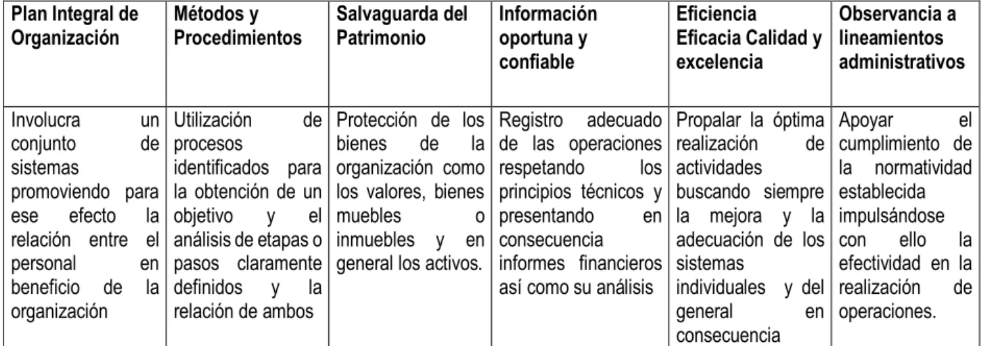 FIGURA Nº 1 CONCEPTO DE CONTROL INTERNO 