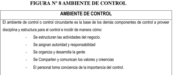 FIGURA Nº 8 AMBIENTE DE CONTROL  AMBIENTE DE CONTROL 