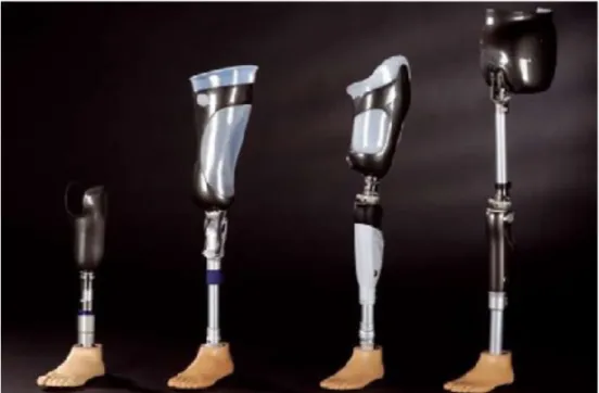 Figura 6.1. Modelos de Prótesis. 
