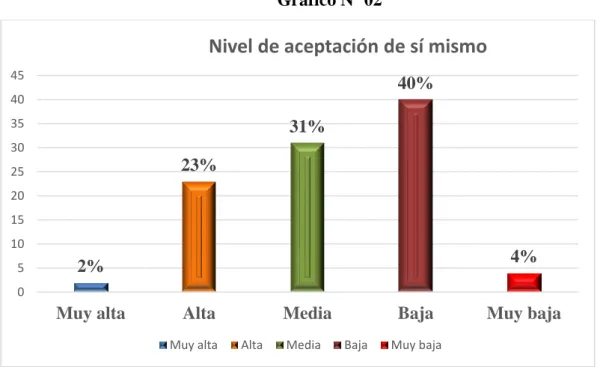 Gráfico Nº 02 