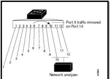Figura 2-1:Span Local 