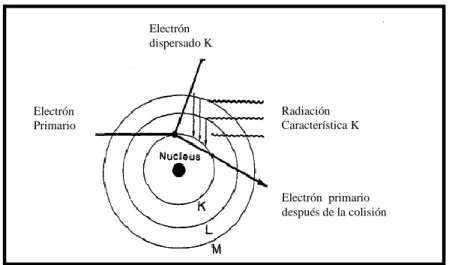 Figura 4: Esquema de explicación de rayos X característicos (Khan, 1994). 