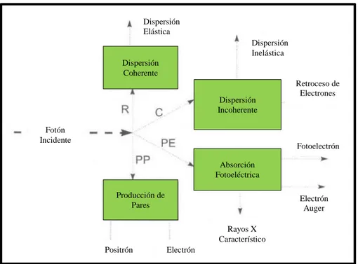 Figura 8: Principales procesos de interacción del fotón primario con sus emisiones  secundarias (Smith, 2000)