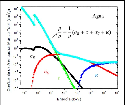 Figura 9: Coeficientes de atenuación másico total y secciones transversales para el  agua, en función de la energía del fotón