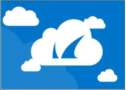 Figura 22-1. Logo Barracuda