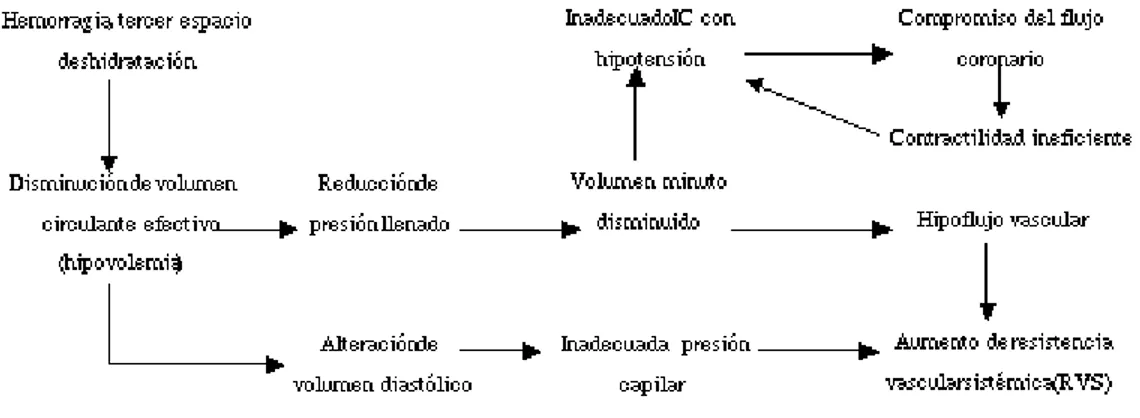 Figura 3. Efectos de la hipovolemia en la  hemodinamia