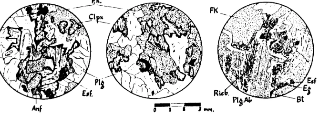 Fig. 4. Aspectos petrográficos de las episenitas. a) Blastesis intersticial de ferroaugita, parcialmente anfiboliti·