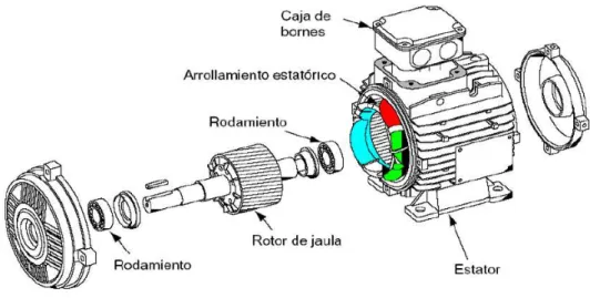 Figura 10. Motor jaula de ardilla 