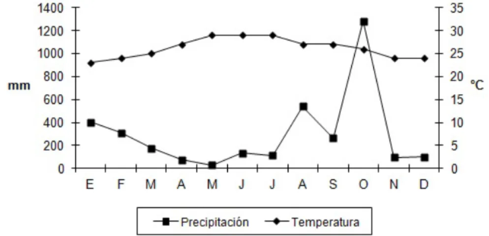 Figura 5. Promedios mensuales de precipitación (mm) y temperatura (°C) en el 2007 en Teapa, Tabasco