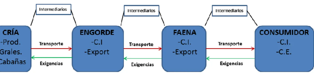 Gráfico N°9: Cadena de Ganados y carnes 