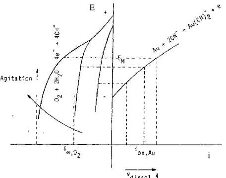 Figura 3.2. Interpretación de la cinética de cianuración de oro por el  intermedio de las curvas de polarización